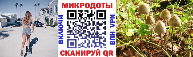 Псилоцибиновые грибы GOLDEN TEACHER  закладка  Юхнов 